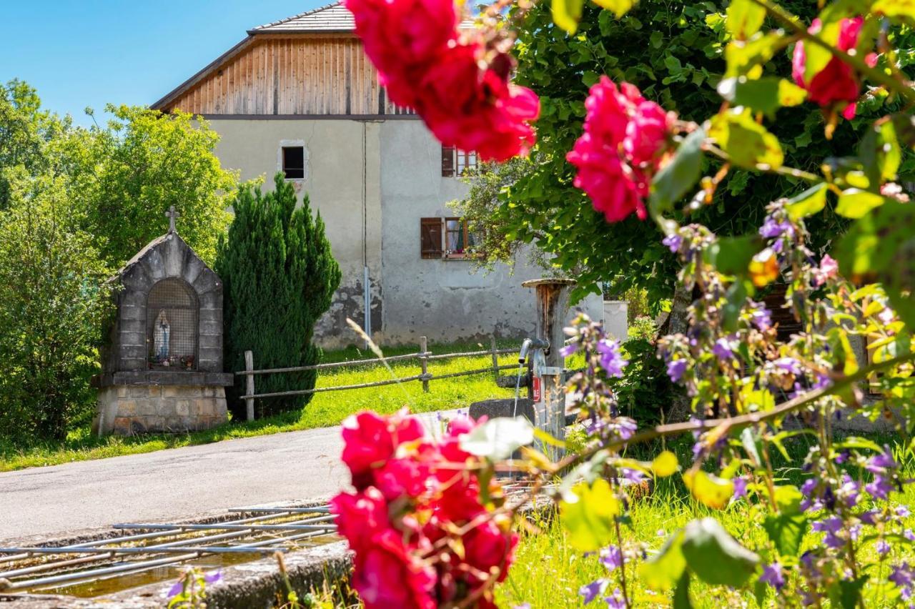 Votre Studio Balneo Bien-Etre A La Montagne Thollon-les-Memises Exteriér fotografie